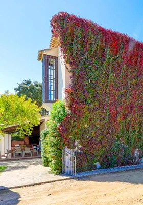 Montepaloma Casa Rural